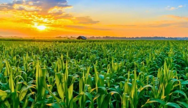 valuing agricultural land