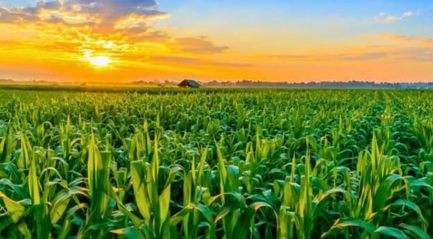 valuing agricultural land